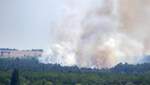 На острове Хортица горел сосновый лес: фото