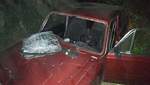На Харьковщине пьяный водитель сбил 2 детей: убежал в лесополосу – фото
