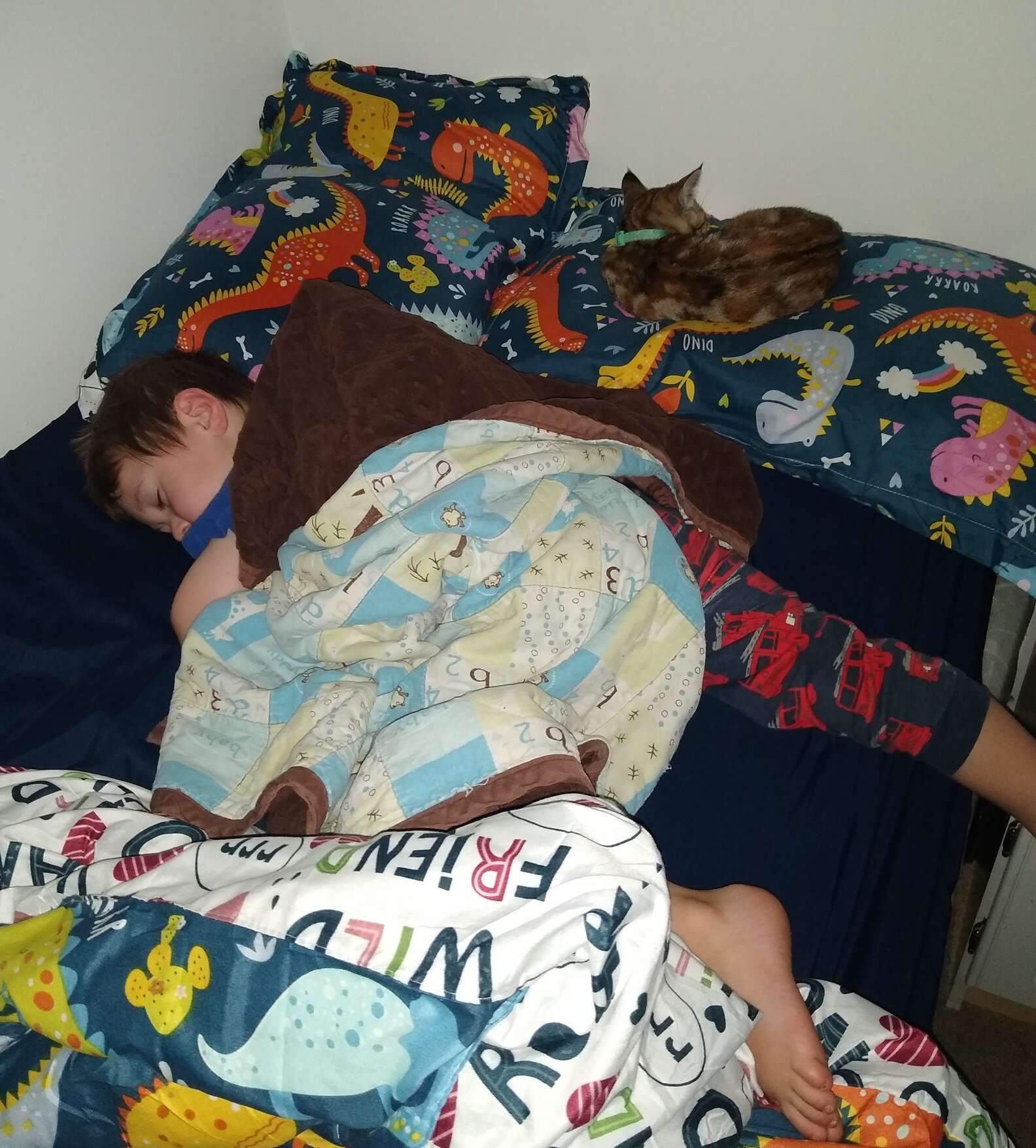 Монстр під ліжком виявився кошеням