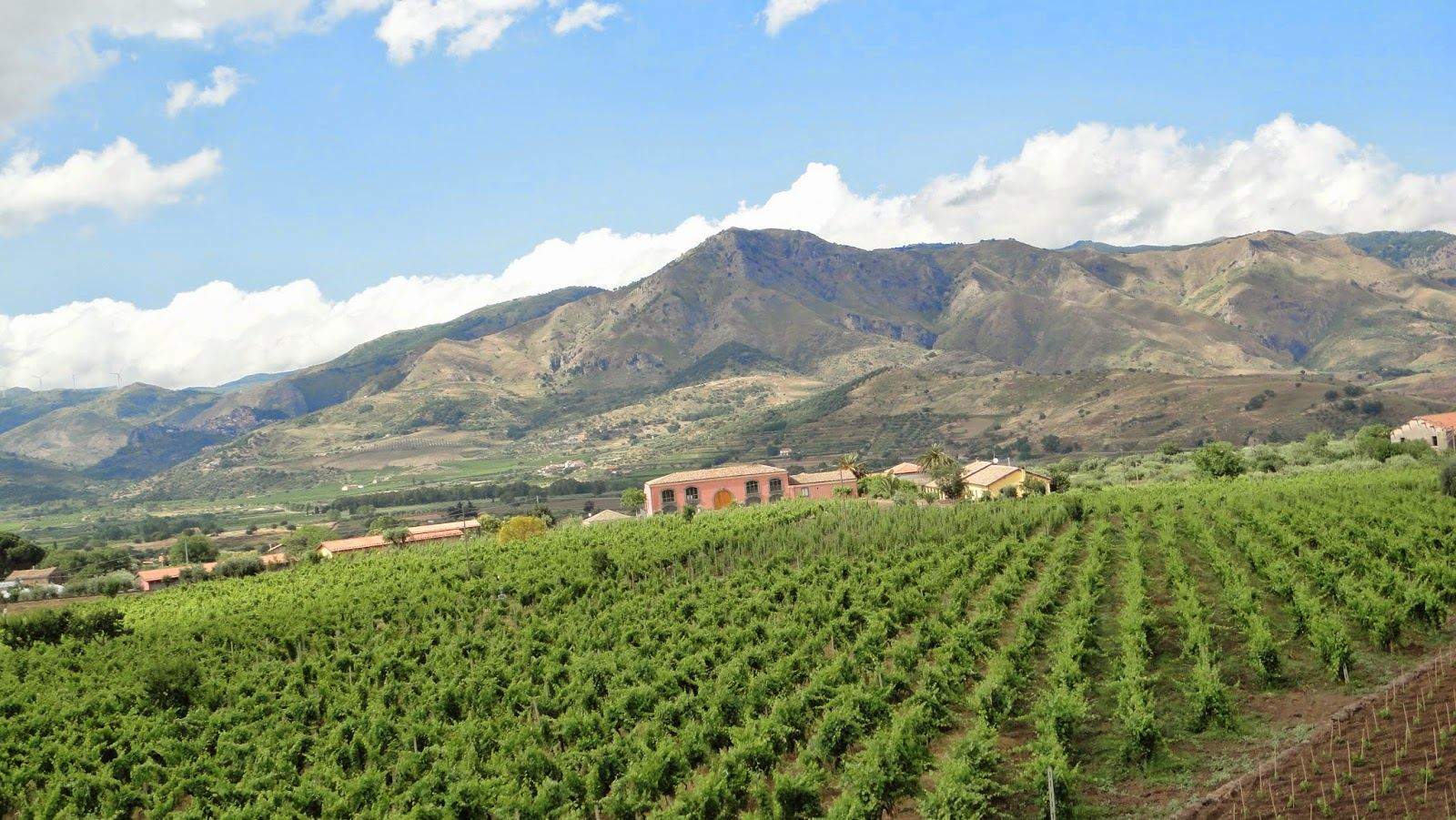 Сицилийская винодельня Tenuta delle Terre Nere