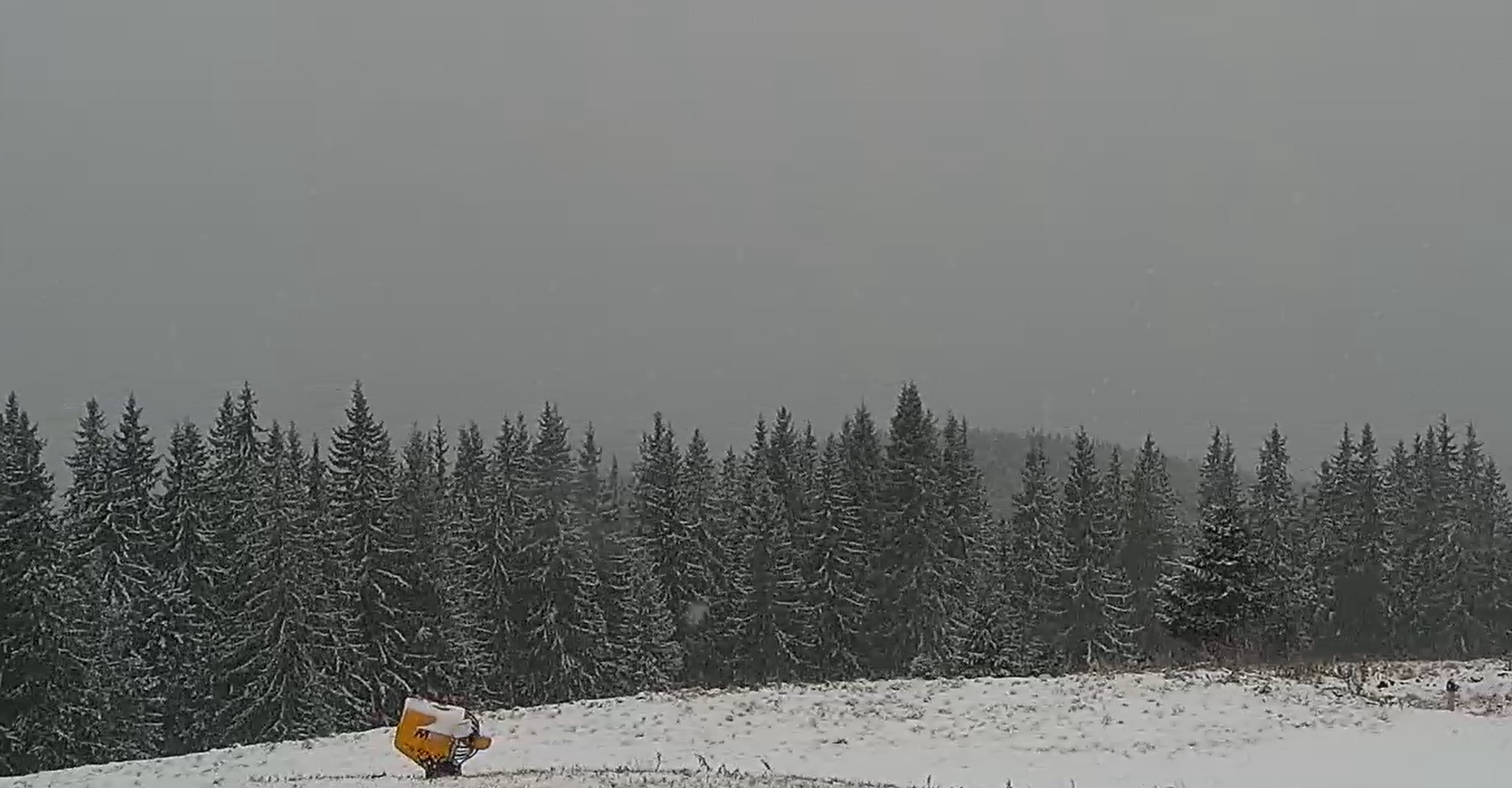 Гірськолижні курорти замітає снігом