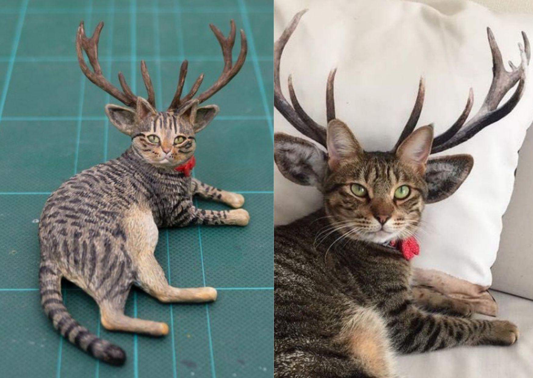 Колаж 24 каналу