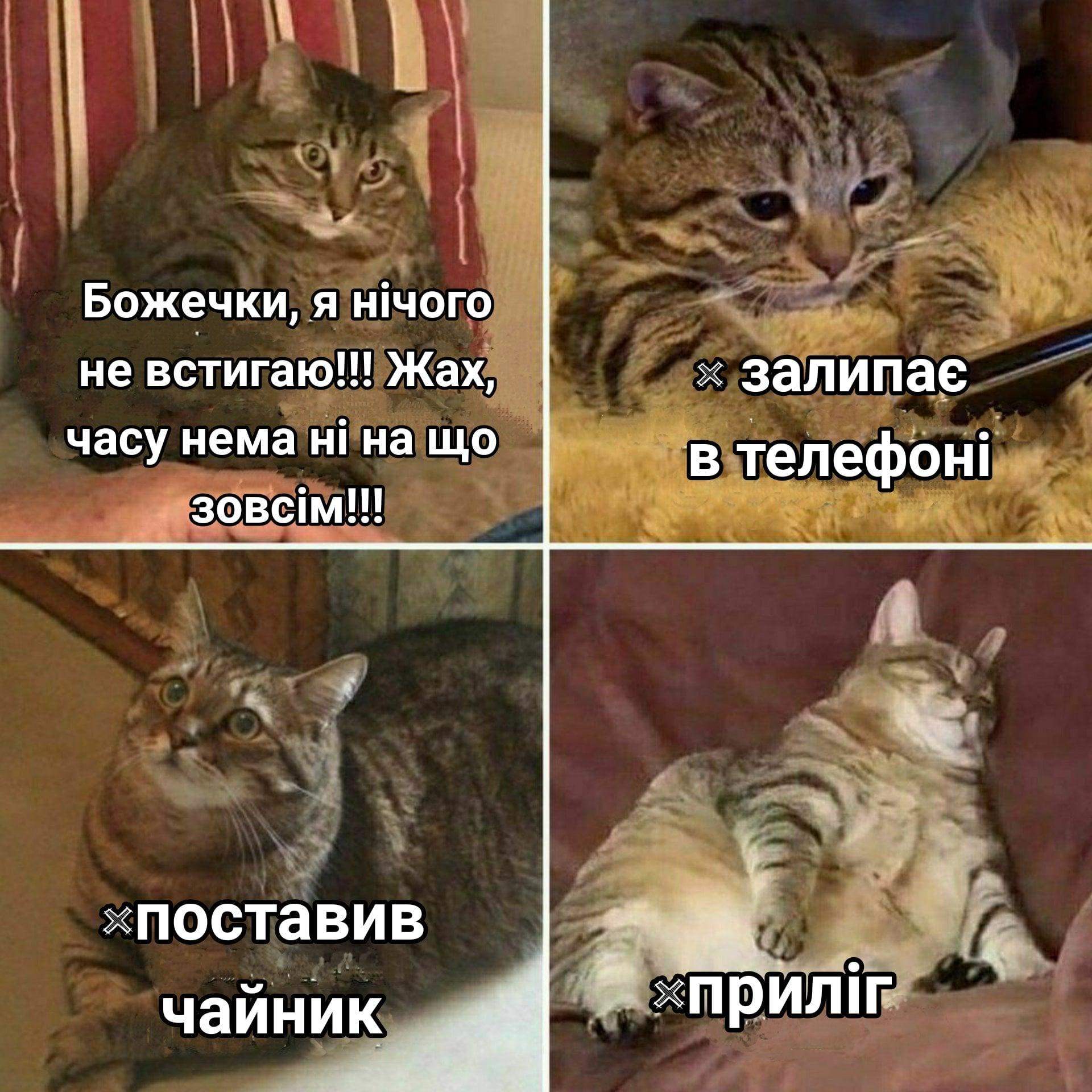 Ненадолго прилег