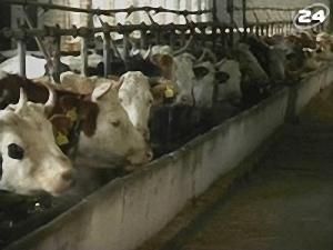 Дороге молоко Дороге молоко