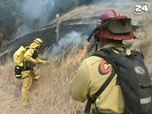 Лісові пожежі - 15 серпня 2009 - Телеканал новин 24