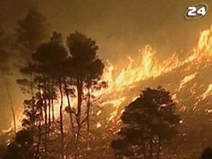 Лісові пожежі - 24 серпня 2009 - Телеканал новин 24