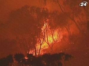 Лісові пожежі - 30 грудня 2009 - Телеканал новин 24