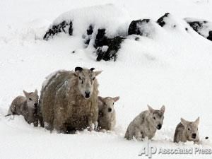 У Великій Британії знову снігопади У Великій Британії знову снігопади