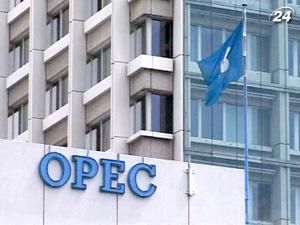 До 2013 р. ОПЕК інвестує в свій бізнес 70-170 млрд. дол. До 2013 р. ОПЕК інвестує в свій бізнес 70-170 млрд. дол.