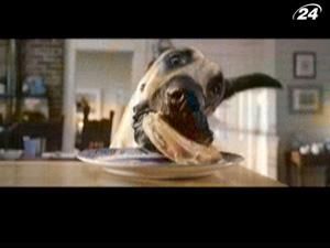 Там, де пес на ім'я Мармадюк, там постійний хаос Там, де пес на ім'я Мармадюк, там постійний хаос