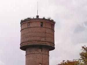 На Волині водонапірна вежа впала на школярів На Волині водонапірна вежа впала на школярів