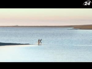 Окрім них двох на острові у Північному льодовитому океані немає жодної душі Окрім них двох на острові у Північному льодовитому океані немає жодної душі