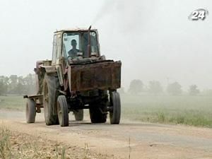 В Україні доведеться пересівати близько мільйона гектарів озимих