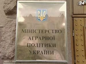 Білоруський імпорт загрожує сільському господарству України Білоруський імпорт загрожує сільському господарству України