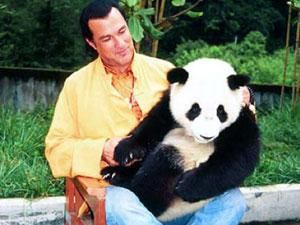 Стівен Сігал просив про масаж, а отримав позов до суду Стівен Сігал просив про масаж, а отримав позов до суду