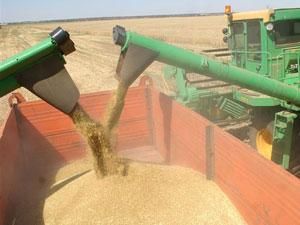 В Україні знову зменшились запаси зерна