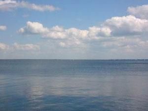 Санітари не бачать у Києві причин для епідемій Санітари не бачать у Києві причин для епідемій