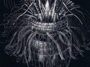 Італійські вчені знайшли істоту, яка може жити без кисню Італійські вчені знайшли істоту, яка може жити без кисню