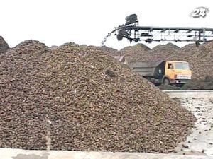 Росія готова купувати український цукор, але тільки з буряку Росія готова купувати український цукор, але тільки з буряку