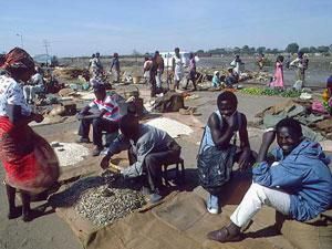 Український посол працюватиме у двох країнах одночасно Український посол працюватиме у двох країнах одночасно