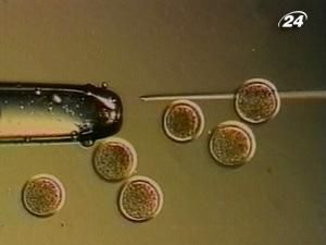 Ватикан профінансує дослідження стовбурових клітин дорослих Ватикан профінансує дослідження стовбурових клітин дорослих