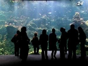 Музей майбутнього - справжній рай для ботаніків Музей майбутнього - справжній рай для ботаніків