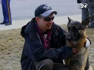 Собака допоміг врятувати будинок свого господаря Собака допоміг врятувати будинок свого господаря