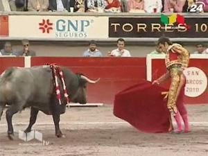 Відомий матадор Хосе Томас отримав серйозну рану на кориді в Мексиці Відомий матадор Хосе Томас отримав серйозну рану на кориді в Мексиці