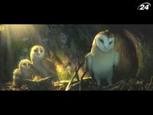 У таємничому лісі вже багато віків живуть мудрі сови У таємничому лісі вже багато віків живуть мудрі сови