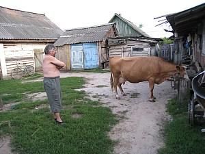 Українські селяни мають гірше здоров'я, ніж міські