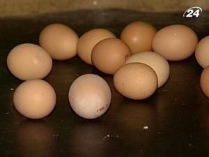 У Китаї навчилися підробляти курячі яйця і навіть трюфелі У Китаї навчилися підробляти курячі яйця і навіть трюфелі