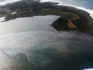 Нафтова пляма добралась до узбережжя США Нафтова пляма добралась до узбережжя США