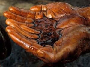 На боротьбу з нафтовою плямою відправлена Національна гвардія США На боротьбу з нафтовою плямою відправлена Національна гвардія США