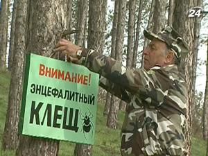 З лютого до червня в лісах та парках - пік активності кліщів