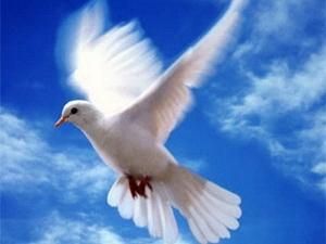 У Криму вшанували пам’ять загиблих журналістів У Криму вшанували пам’ять загиблих журналістів