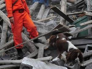 В Китаї ураган забрав життя понад 20 осіб В Китаї ураган забрав життя понад 20 осіб