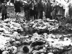 Польські експерти сподіваються на подальше розсекречення матеріалів по Катині Польські експерти сподіваються на подальше розсекречення матеріалів по Катині