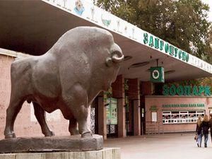 Захисники тварин вимагають негайно змінити керівництво Київського зоопарку Захисники тварин вимагають негайно змінити керівництво Київського зоопарку