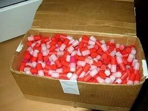 Білоруський фізкультурник нагодував школярів психотропними таблетками Білоруський фізкультурник нагодував школярів психотропними таблетками