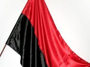 УНП вимагає до Дня Перемоги вивісити прапори учасників антигітлерівської коаліції та УПА УНП вимагає до Дня Перемоги вивісити прапори учасників антигітлерівської коаліції та УПА