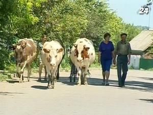 Парламент відклав запровадження нового механізму дотування аграріїв на рік Парламент відклав запровадження нового механізму дотування аграріїв на рік
