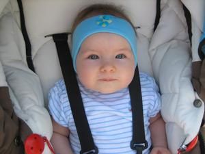 На Черкащині дерево упало на візочок з дитиною На Черкащині дерево упало на візочок з дитиною