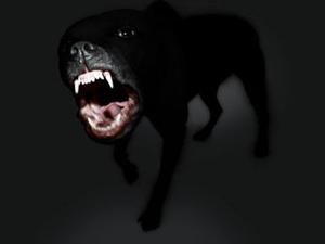 На Донеччині собака загризла однорічну дівчинку На Донеччині собака загризла однорічну дівчинку