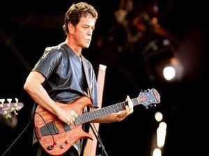 Лу Рід заспіває для собак Лу Рід заспіває для собак