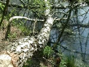 Волинь може перетворитись на болотянисту місцевість Волинь може перетворитись на болотянисту місцевість