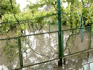 Велика вода прибуває на Закарпаття - 17 травня 2010 - Телеканал новин 24 Велика вода прибуває на Закарпаття - 17 травня 2010 - Телеканал новин 24