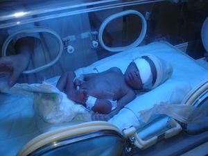 В найближчому майбутньому природне зачаття замінять інкубаторами В найближчому майбутньому природне зачаття замінять інкубаторами