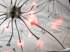 Вчені знайшли спосіб відновлення мертвих клітин мозку Вчені знайшли спосіб відновлення мертвих клітин мозку