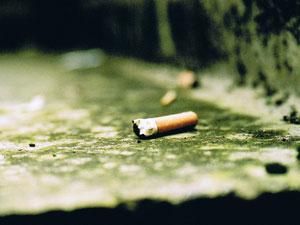 У Києві вже оштафували понад 1000 осіб, які смітили на вулицях У Києві вже оштафували понад 1000 осіб, які смітили на вулицях