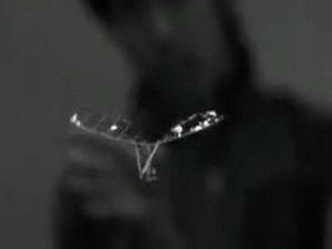 Японці зробили робота-метелика Японці зробили робота-метелика